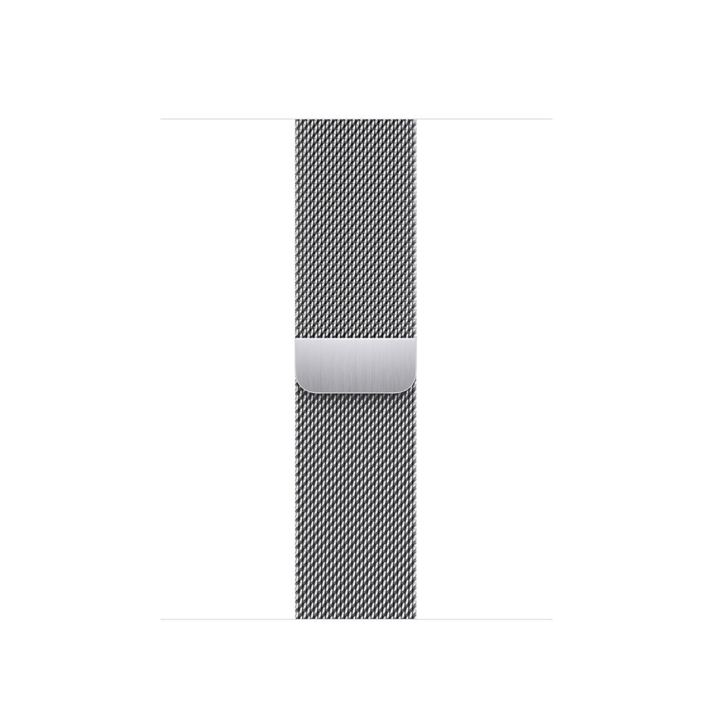 Apple 40mm Silver Milanese Loop